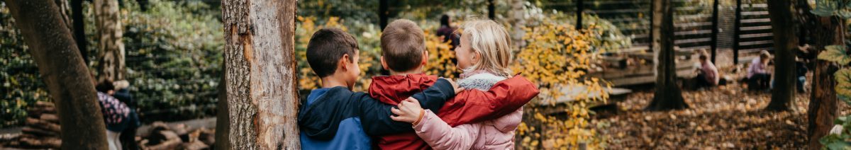 Protestants christelijk basisonderwijs